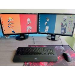 Asus 24" 144hz (x2)
