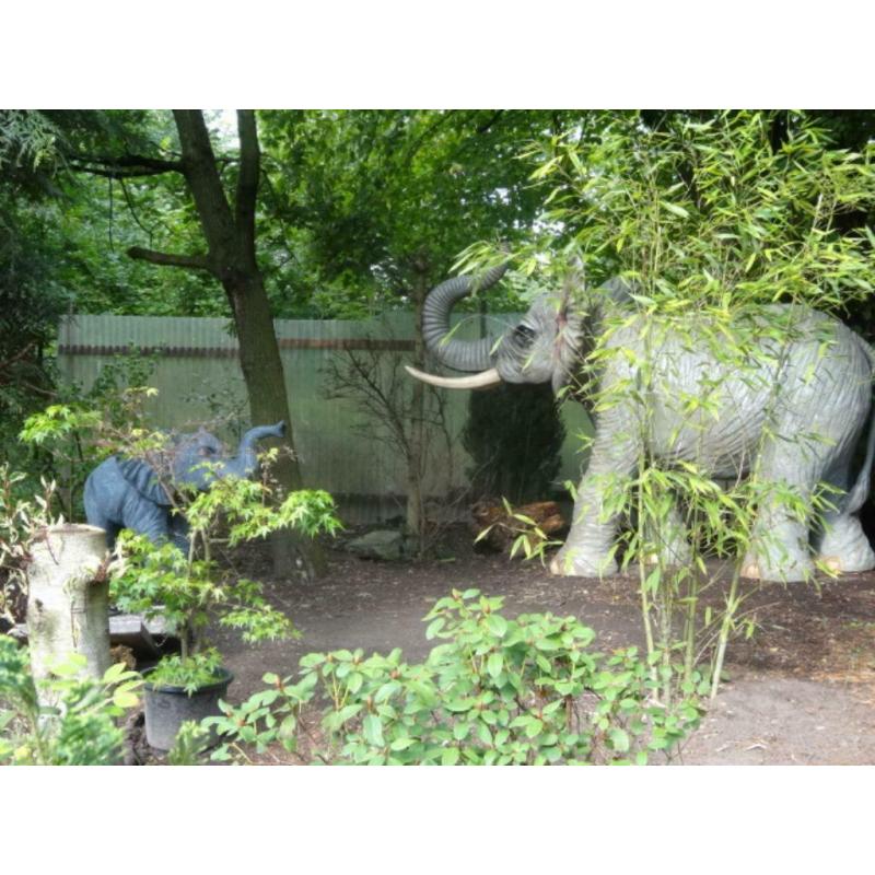 prachtige levensgrote olifant