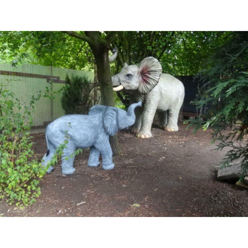 prachtige levensgrote olifant