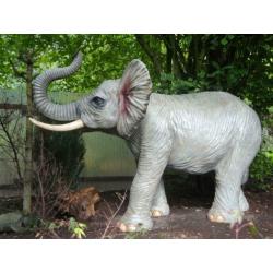 prachtige levensgrote olifant