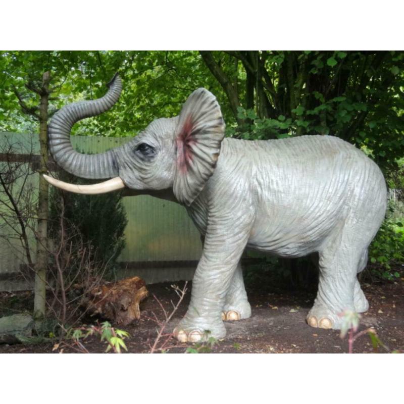 prachtige levensgrote olifant